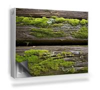 Alfombrilla Magnética 80x60 cm para Radiador Magnético Panel Decorativo Protección contra el Polvo y Daños Fácil Instalación - Viejas Tablas de Madera Cubiertas de Musgo