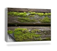 Alfombrilla Magnética 90x60 cm para Radiador Magnético Panel Decorativo Protección contra el Polvo y Daños Fácil Instalación - Viejas Tablas de Madera Cubiertas de Musgo
