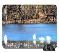 Alfombrilla para ratón Gaming mousemat Wer sucht, Der findet auch! (Cisnes) Alfombrilla de ratón, Mousepad (Cojín de ratón de pájaros)