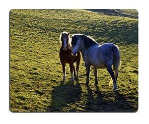 Alfombrilla para ratón Juego Alfombrilla para ratón Alfombrilla de ratón de Caucho Natural Dos Caballos de pie en un Campo Iluminado por el Sol de la Tarde M0A02027