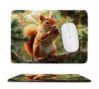Alfombrilla Ratón ardilla Alfombrilla Escritorio 300 x 250 mm Mejora la Precisión y la Velocidad con Base de Goma Antideslizante y Bordes Cosidos Duradera y Cómoda para Oficina, Estudio, Juegos j-794
