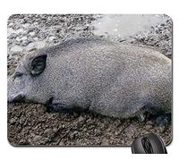 Alfombrilla Raton, como Un Cerdo En La Mierda Jabalí Revolcarse Mud Boon Alfombrilla De Ratón Antideslizante Gaming Mouse Pad Antideslizante Alfombrilla Gaming para Ordenador Ratón 25X30Cm