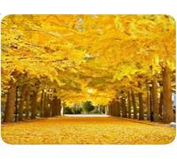 Alfombrilla Ratón Gaming, otoño Mouse Pad con Bordes Cosidos, Base de Goma Antideslizante Alfombrilla de Ratón, Mejora la Velocidad, Mousepad para Oficina, Regalos (180x300x3mm Ginkgo biloba) qw-366