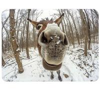 Alfombrilla Ratón Invierno Alfombrilla Ratón 220x180x3mm, Burro Mouse Pad Protector Escritorio Superficie Lisa y Base de Goma Antideslizante Precisión Velocidad para Oficina, PC, Regalo Mujer,Model479