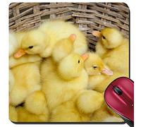 Alfombrilla Ratón, Patitos En Una Cesta En El Delta del Mekong, Vietnam Alfombrilla Gaming Ergonómico Alfombrilla De Ratón Professional Tapete De Juego para Juegos Ratón 25X30Cm