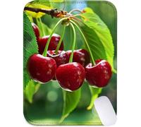 Alfombrilla Ratón Pequeña 34 x 28 cm, Alfombrilla Escritorio Rojo Mouse Pad con Base de Goma Antideslizante, Impermeable Mousepad Cereza Almohadilla Raton con Bordes Cosidos, Accesorios Gaming J2-247