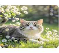 Alfombrilla Ratón Pequeña, Alfombrilla Escritorio Mouse Pad, Tapete Escritorio Gaming con Base Caucho Antideslizante, Óptima Rapidez, Accesorios Gaming para Oficina 20x25x0.3cm Planta Gato (2) qw-535