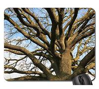 Alfombrilla Ratón, Roble Viejo Naturaleza Alfombrilla Gaming Antideslizante Tapete De Juego Antideslizante Mousepad para Jugadore Pc 25X30Cm