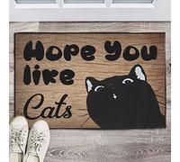 Alfombrilla Suave Alfombra Interior De Bienvenida Espero Que Te Gusten Los Gatos. Divertida Y Loca Señora De Los Gatos. Fácil Limpieza Alfombra Ducha para Tienda Oficina Dormitorio 40X60Cm