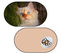 Alfombrillas de alimentación para mascotas, mantel individual personalizado para comida y agua para perros y gatos con foto, imagen y nombre de la mascota para suelos, impermeable, barro de silicona y