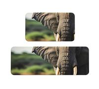 Alfombrillas de cocina de lujo con estampado de elefante africano para suelo, alfombra de lavandería, decoración del hogar