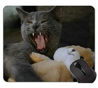 Alfombrillas de ratón, Alfombrilla de Gato de Pelo Corto Antideslizante, Alfombrilla de Gato con Borde Cosido