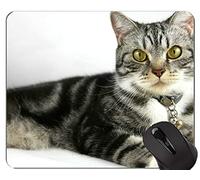 Alfombrillas de ratón, Alfombrilla de ratón American Shorthair Cat con borde de bloqueo, Alfombrilla de gato Cat con borde cosido