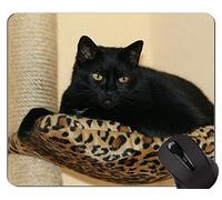 Alfombrillas de ratón, alfombrilla de ratón American Shorthair Cat con borde de bloqueo, alfombrilla de ratón Black Cat con borde cosido