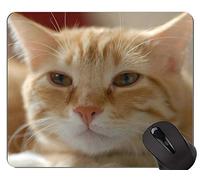 Alfombrillas de ratón, Alfombrilla de ratón American Shorthair Cat Gaming, Alfombrilla de gato con borde cosido