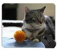 Alfombrillas de ratón, alfombrilla de ratón American Shorthair Cat Gaming personalizada, alfombrilla de ratón gatito con borde cosido