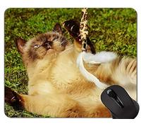 Alfombrillas de ratón, Alfombrilla de ratón American Shorthair Gaming Personalizada, Alfombrilla de ratón Cat con Borde Cosido