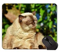 Alfombrillas de ratón, Alfombrilla de ratón británica de pelo corto con borde de bloqueo, Alfombrilla de gato con borde cosido