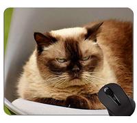 Alfombrillas de ratón, Alfombrilla de ratón British Shorthair Cat Antideslizante, Alfombrilla de ratón British Shorthair con Borde Cosido