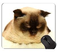 Alfombrillas de ratón, Alfombrilla de ratón British Shorthair Cat Gaming, Alfombrilla de ratón British Shorthair con Borde Cosido
