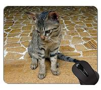 Alfombrillas de ratón, Alfombrilla de ratón British Shorthair Cat Gaming personalizada, Alfombrilla de ratón Bengal Cat con borde cosido