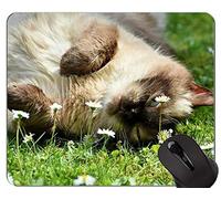 Alfombrillas de ratón, Alfombrilla de ratón British Shorthair Cat Personalizada, Alfombrilla de ratón Cat con Borde Cosido