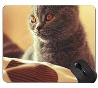 Alfombrillas de ratón, Alfombrilla de ratón British Shorthair Cat personalizada, Alfombrilla de ratón Cat con borde cosido