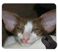 Alfombrillas de ratón, Alfombrilla de ratón British Shorthair Cat Personalizada, Alfombrilla de ratón Cat con Borde Cosido