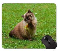 Alfombrillas de ratón, Alfombrilla de ratón British Shorthair Cat personalizada, Alfombrilla de ratón Cat con borde cosido