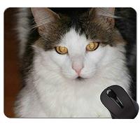 Alfombrillas de ratón, Alfombrilla de ratón Impresa British Shorthair Cat Grass Antideslizante, Alfombrilla de ratón Cat con Borde Cosido