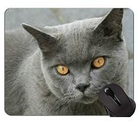 Alfombrillas de ratón, alfombrilla de ratón original de gato oriental de pelo corto, alfombrilla de ratón británica de pelo corto con borde cosido