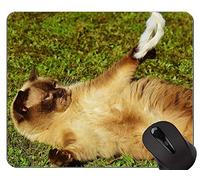 Alfombrillas de ratón, Alfombrillas de ratón American Shorthair Personalizadas, Alfombrilla de ratón Cat con Borde Cosido