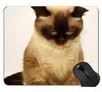 Alfombrillas de ratón, British Shorthair Cat Alfombrilla de ratón Young Young Cat con borde de bloqueo, Alfombrilla de ratón British Shorthair con borde cosido