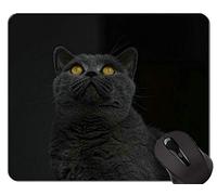 Alfombrillas de ratón, British Shorthair Cat Alfombrilla de ratón Young Young Cat personalizada, Alfombrilla de ratón British Shorthair con borde cosido