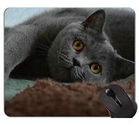 Alfombrillas de ratón, British Shorthair Cat Pet Alfombrilla de ratón británica de pelo corto Antideslizante, Alfombrilla de ratón británica de pelo corto con borde cosido