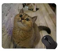Alfombrillas de ratón, British Shorthair Cat Pet Alfombrilla de ratón británica de pelo corto personalizada, Alfombrilla de ratón británica de pelo corto con borde cosido