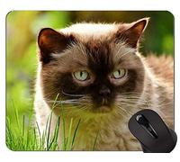 Alfombrillas de ratón, Britt British Shorthair Cat Pets Animales Alfombrilla de ratón personalizada, British Shorthair Alfombrilla de ratón con borde cosido