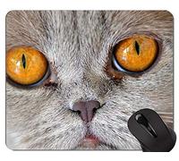Alfombrillas de ratón, Britt British Shorthair Cat Pets Animales Gaming Mouse Pad, Cat Mouse Pad con Borde Cosido
