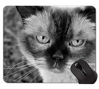 Alfombrillas de ratón, Britt British Shorthair Cat Pets Animales Gaming Mouse Pad Custom, Alfombrilla de ratón British Shorthair con borde cosido