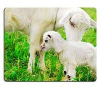 Alfombrillas De Ratón Cabrito Blanco Lindo de la Cabra con la Cabra de la Madre en una Granja Cojín de ratón Modificado para requisitos particulares