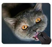 Alfombrillas de ratón, Cute American Shorthair Ca Gaming Mouse Pad Custom, Alfombrilla de ratón Cat con Borde Cosido
