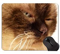 Alfombrillas de ratón, Cute British Shorthair Cat Alfombrillas de ratón Personalizadas, British Shorthair Alfombrilla de ratón con Borde Cosido