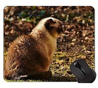 Alfombrillas de ratón, diseño de gel de sílice suave Alfombrilla de ratón de pelo corto para gatos Personalizada, alfombrilla de ratón de pelo corto británico con borde cosido