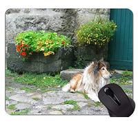 Alfombrillas de ratón divertidas del amante del perro de pastor alemán, alfombrillas de ratón personalizadas del juego del rectángulo del perro