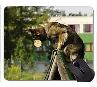 Alfombrillas de ratón Divertidas del Amante del Perro de Pastor alemán, Alfombrillas de ratón Personalizadas del Juego del rectángulo de la Pintura