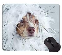 Alfombrillas de ratón divertidas del amante del perro de pastor alemán, alfombrillas de ratón personalizadas del juego del rectángulo del perro