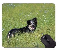 Alfombrillas de ratón divertidas del amante del perro de pastor alemán, mousepad de la base de goma antideslizante del border collie