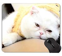 Alfombrillas de ratón, Exotic Shorthair Cat Persian Cat Gaming Mouse Pad Custom, Alfombrilla de ratón Cat con Borde Cosido