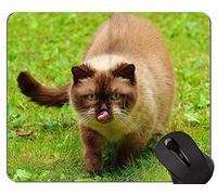 Alfombrillas de ratón, Exotic Shorthair Cat Persian Cat Gaming Mouse Pad Custom, Alfombrilla de ratón Cat con borde cosido