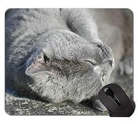 Alfombrillas de ratón, Horthair Cat Animal Pet Looking Gaming Alfombrilla de ratón Personalizada, British Shorthair Cat Alfombrilla de ratón con Borde Cosido